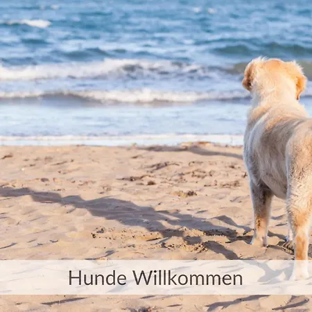 Haus Meerzeit, Steg, 250 M Vom Strand, Hunde Willkommen